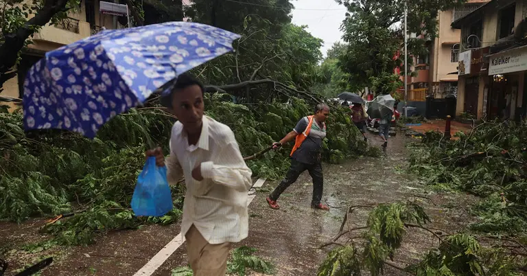 বৃষ্টির পরের অবস্থা